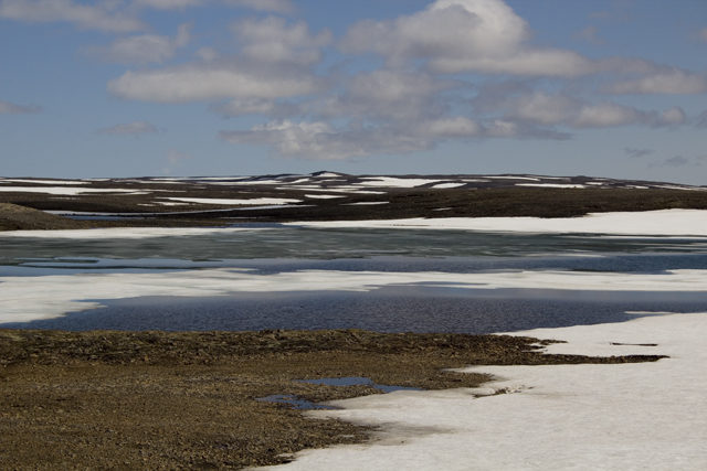 2011-06-30_12-10-41 island.jpg - Steigrimsjardarheidi